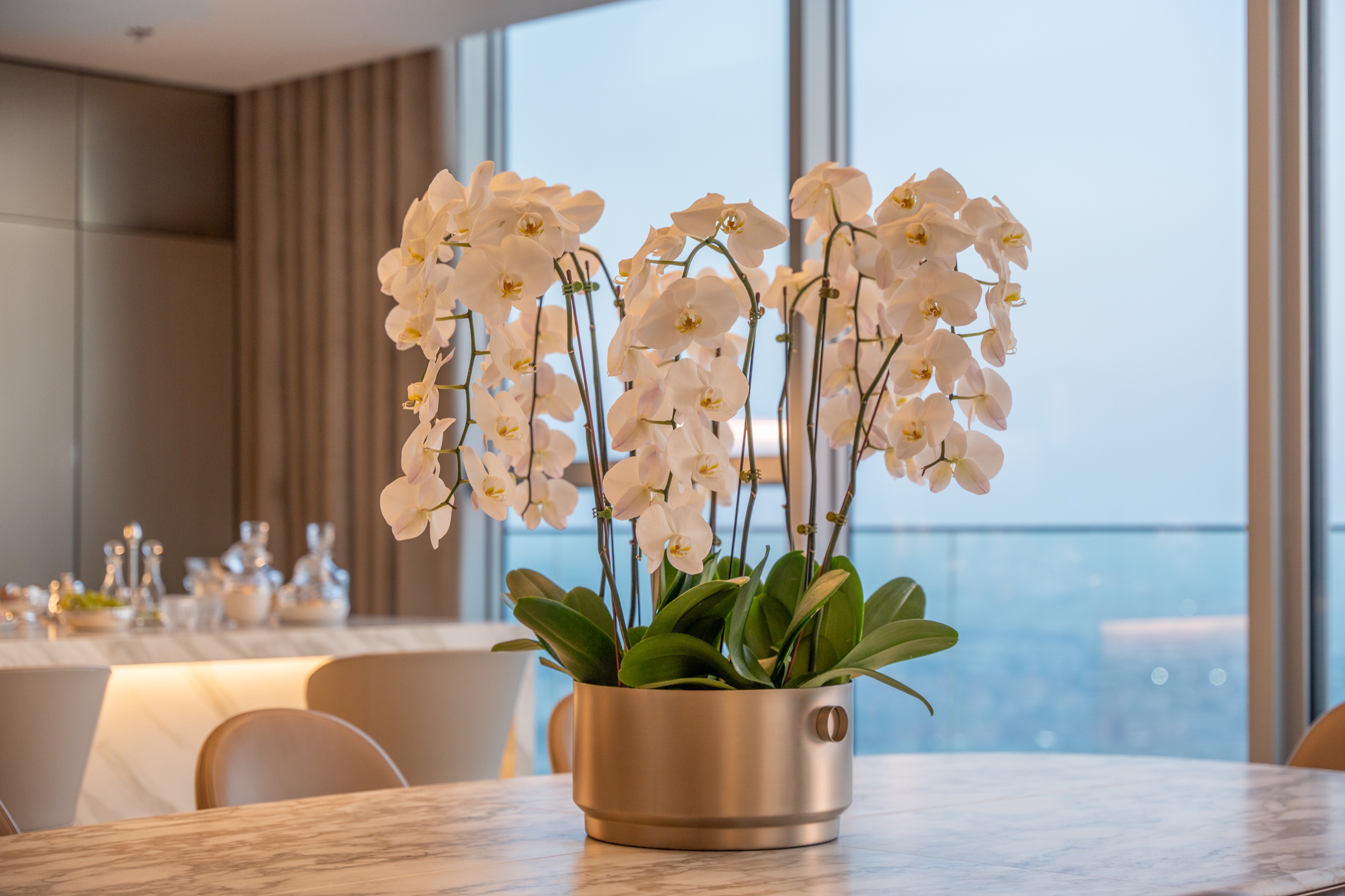 Orchid Detail