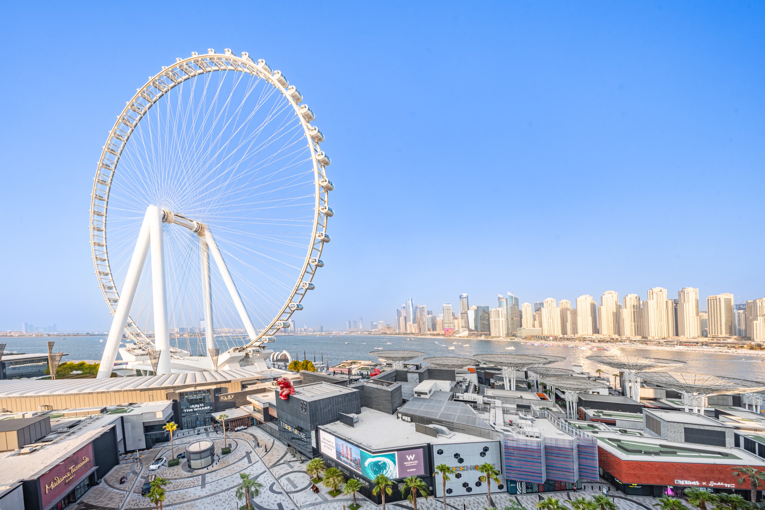 Ain Dubai View