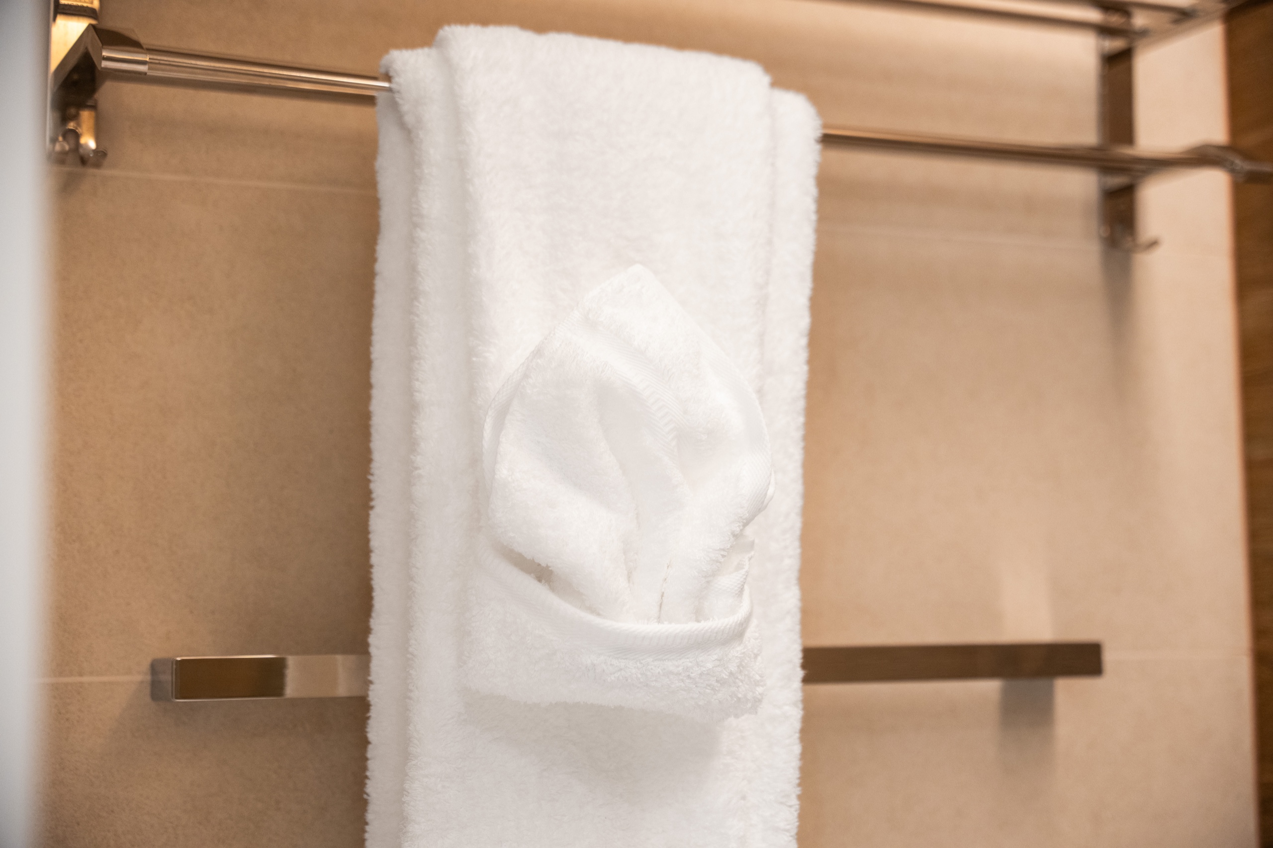 Bathroom Detail