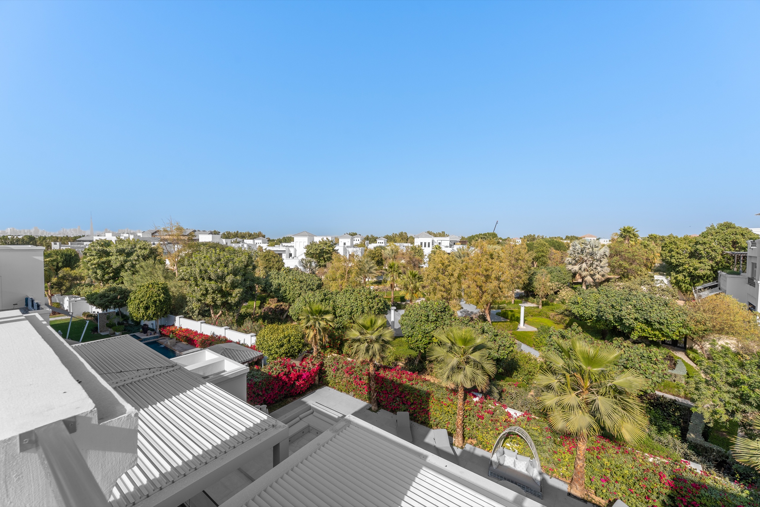 Rooftop View