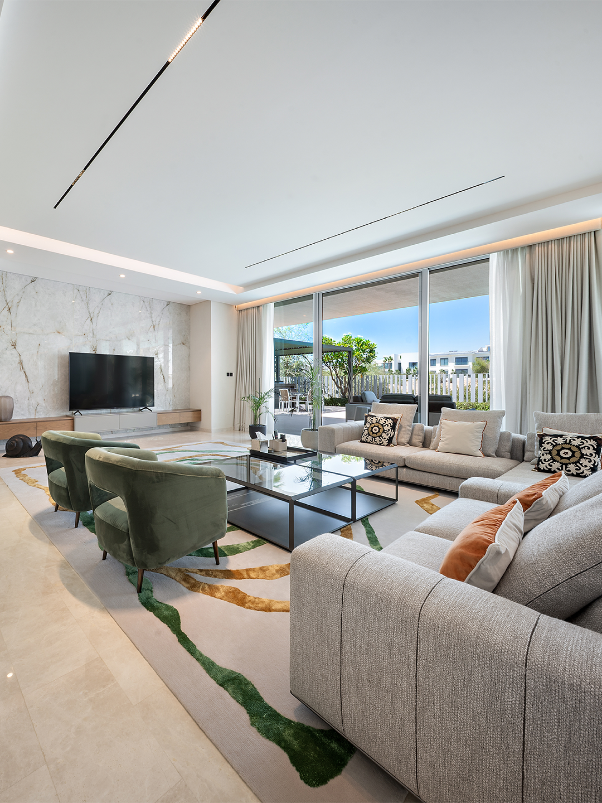 Living Room & Terrace
